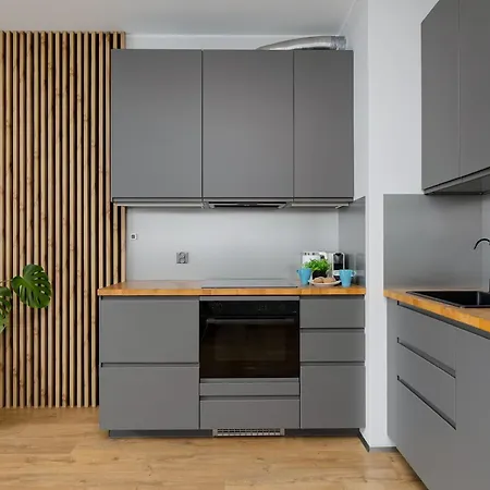 アパート Spacious With A Balcony, Parking And Air-conditioning By Renters *