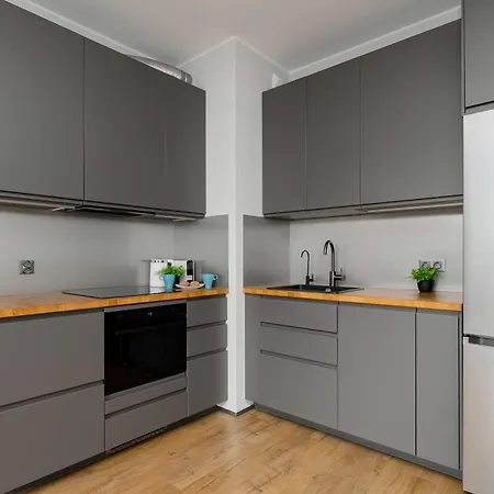 Apartment Spacious With A Balcony, Parking And Air-conditioning By Renters